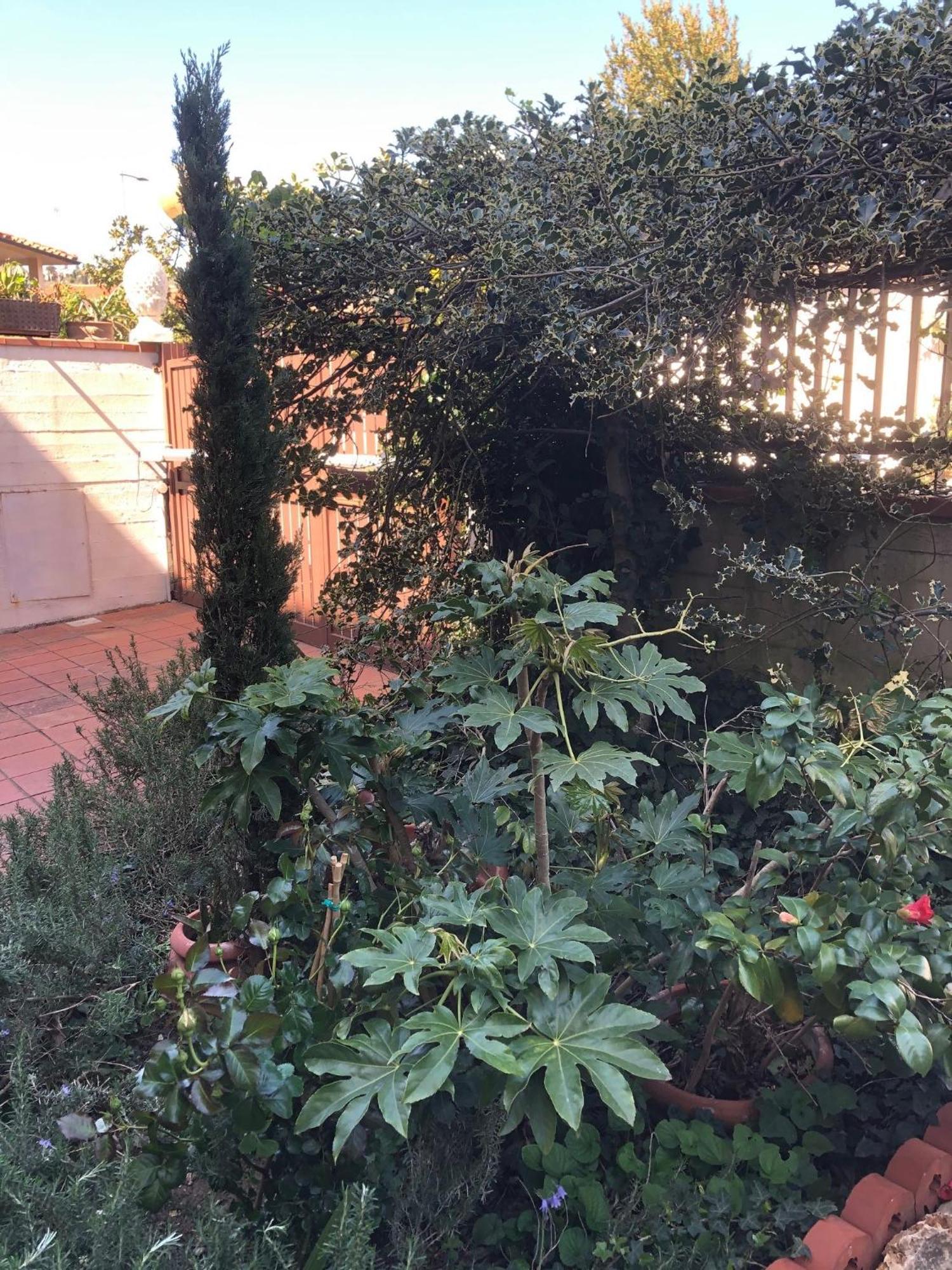 La Villa Bianca - Appartamento In Villa Sesto Fiorentino Exterior foto